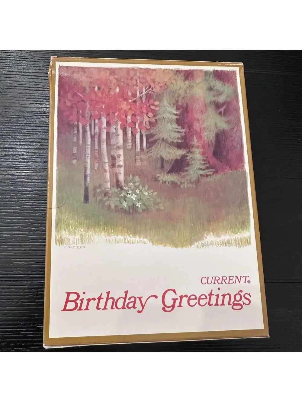 Vintage Current Birthday Greetings Note Cards Forest Trees Factory Sealed